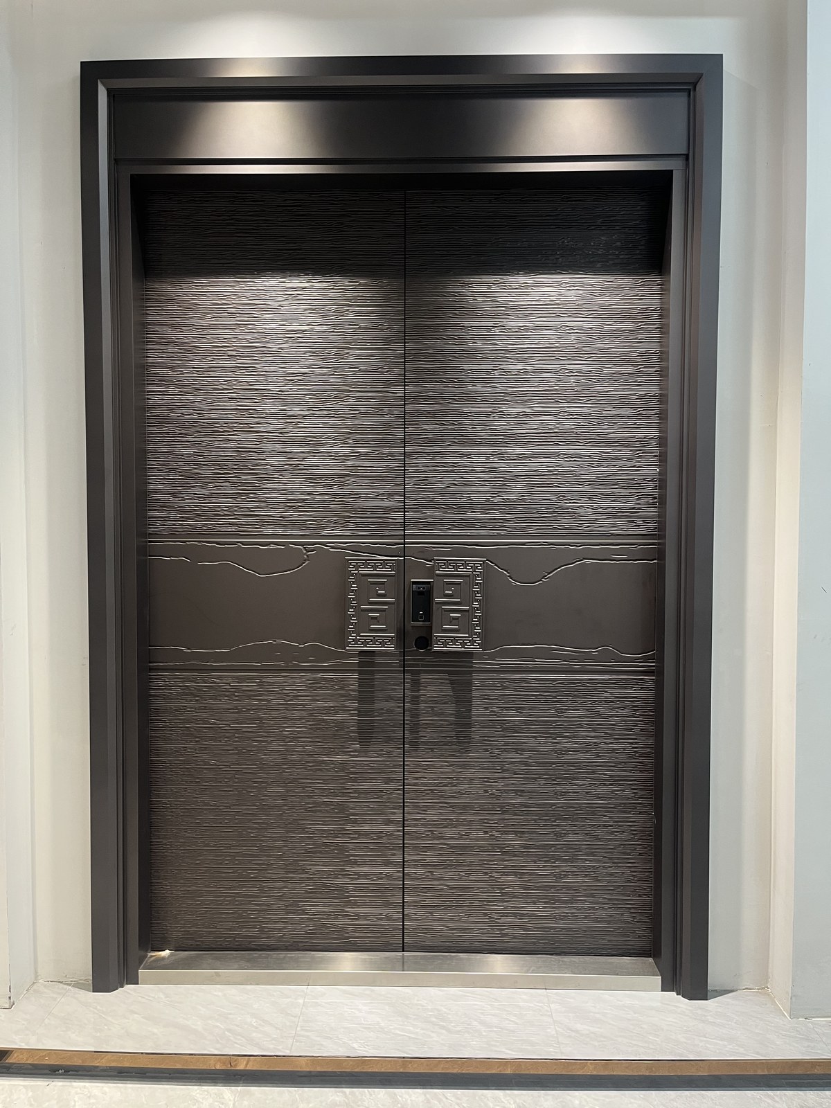 Aluminum Entry Doors