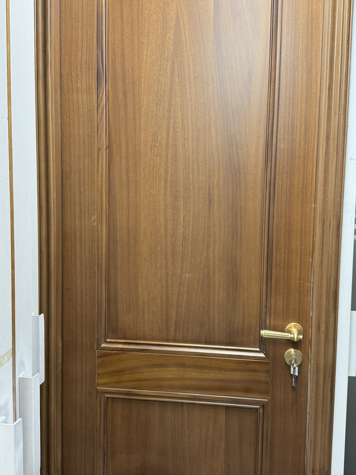 Interior Doors detail