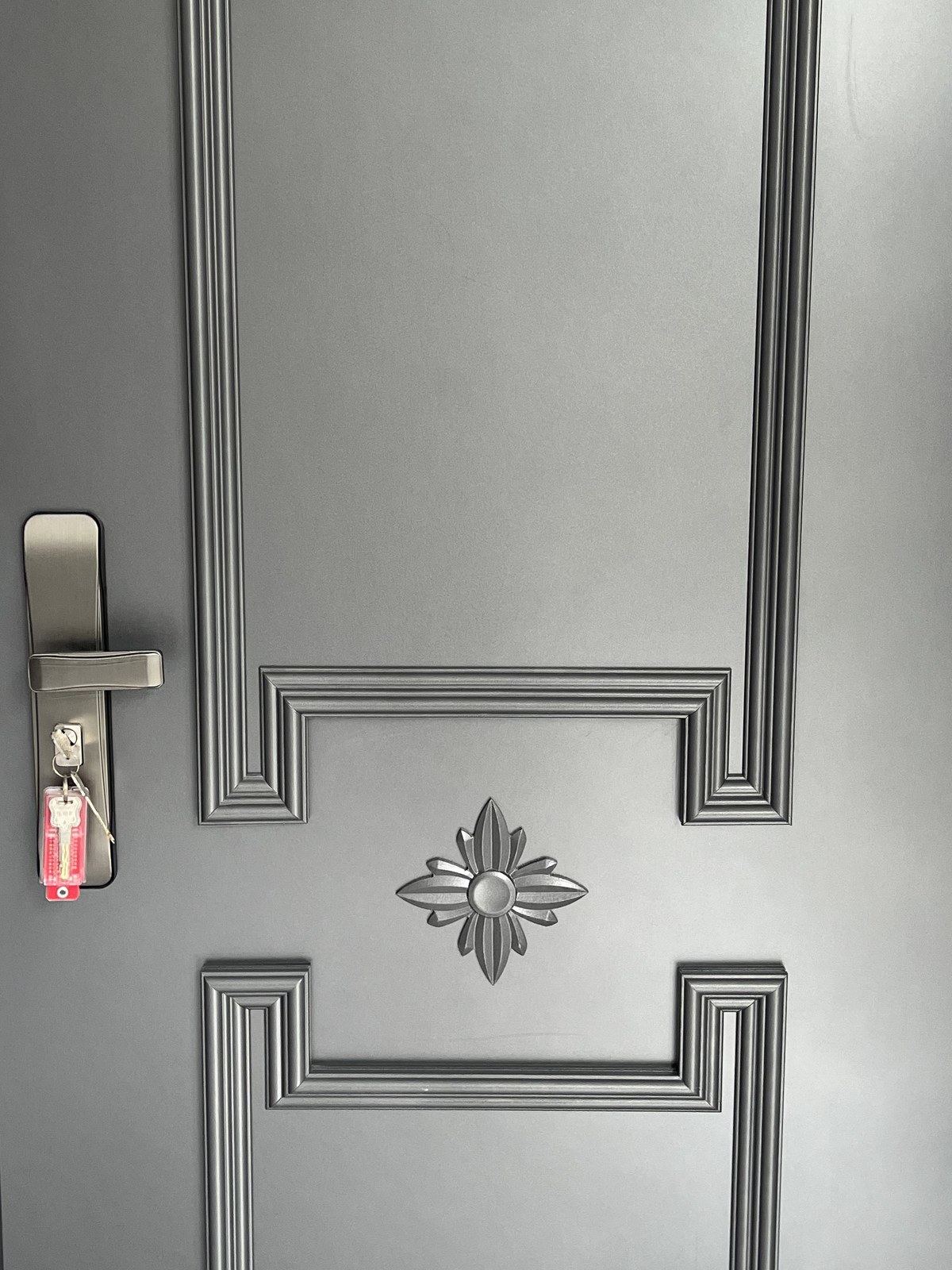 Stainless Steel Doors finishes