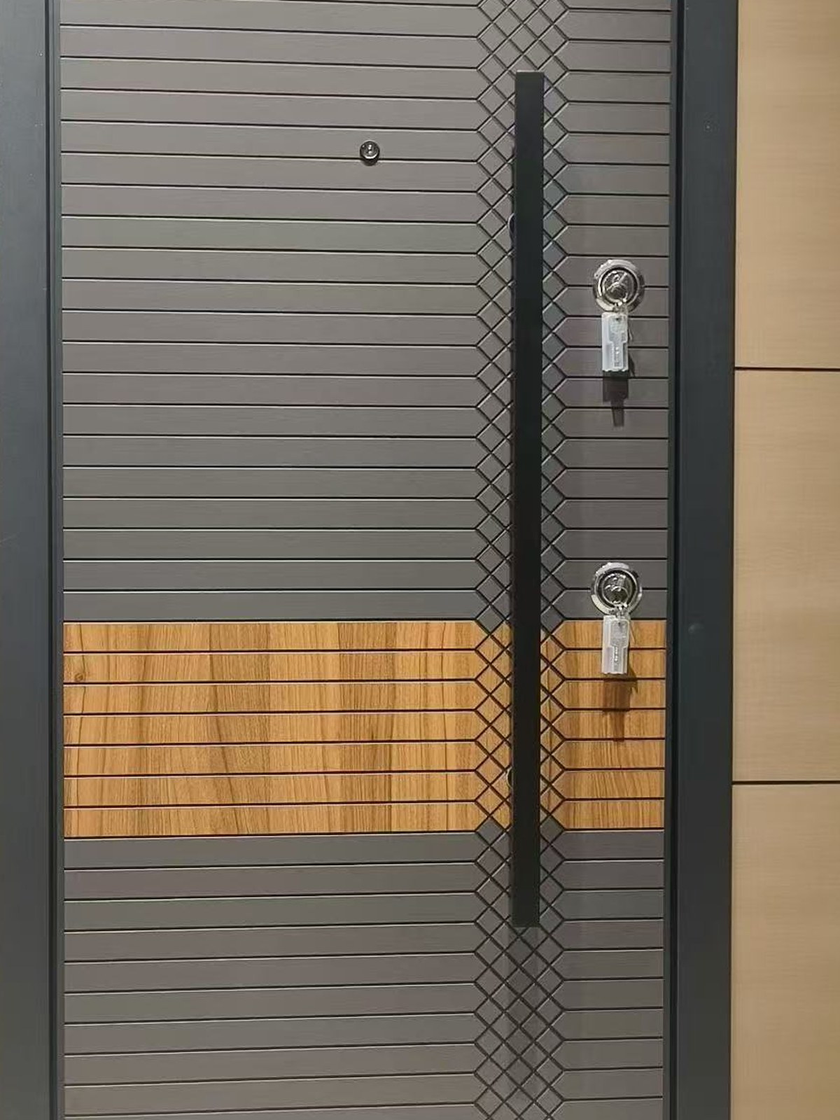 Steel Doors detail